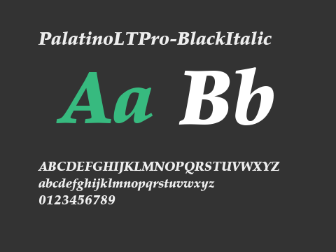 PalatinoLTPro-BlackItalic